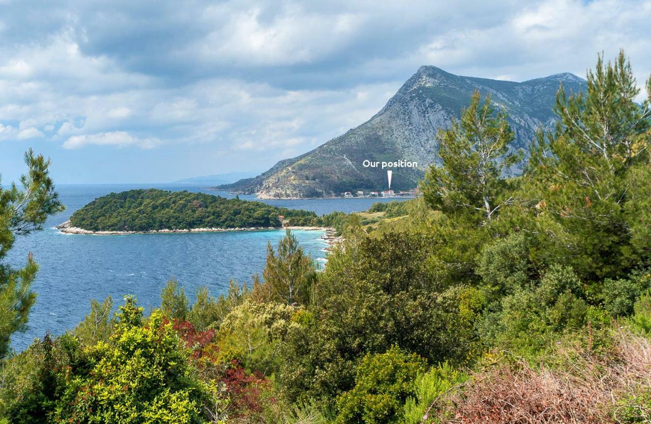 Apartment Matijas Trstenik  Dış mekan fotoğraf